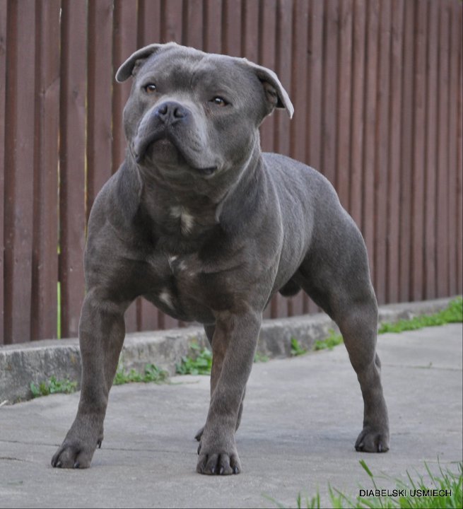 large